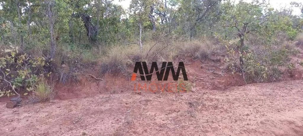Fazenda à venda, 116644000 m² por R$ 53.020.000,00 - Rural - Lizarda/TO - Foto 2