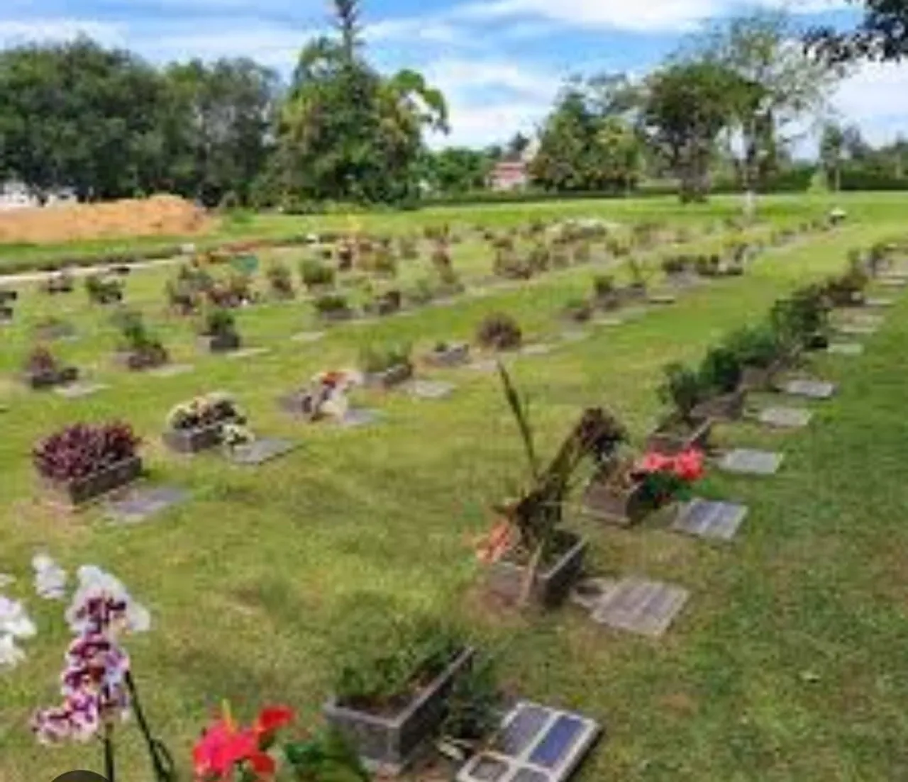 VENDA DE JAZIGO Perpétuo com 2 gavetas no cemitério Jardim das Flores