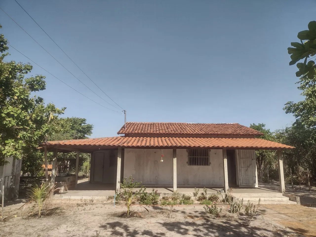 Foto - Campo Maior - 