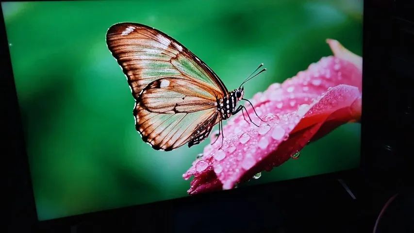 Tv Smart Samsung 50 4k Completa - Foto 3