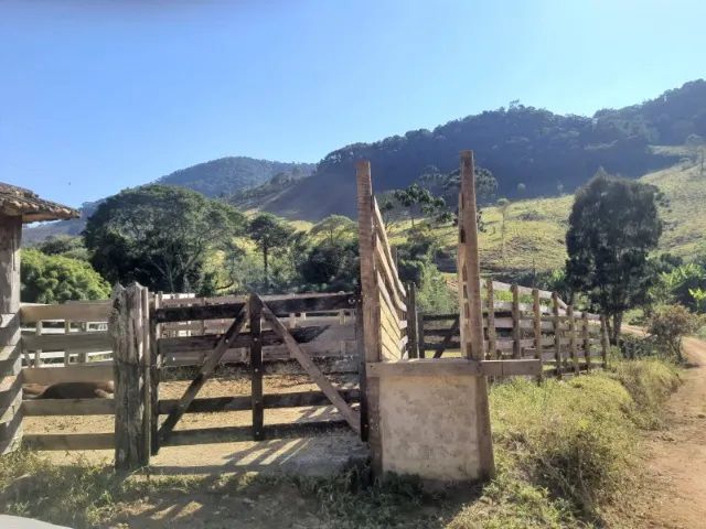 sitio à venda em carvalhos mg - Foto 5