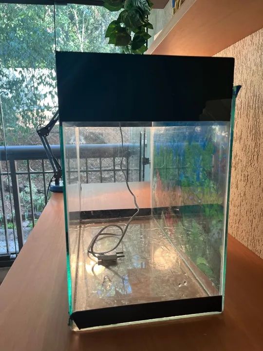 Aquário de vidro em ótimo estado - Foto 3