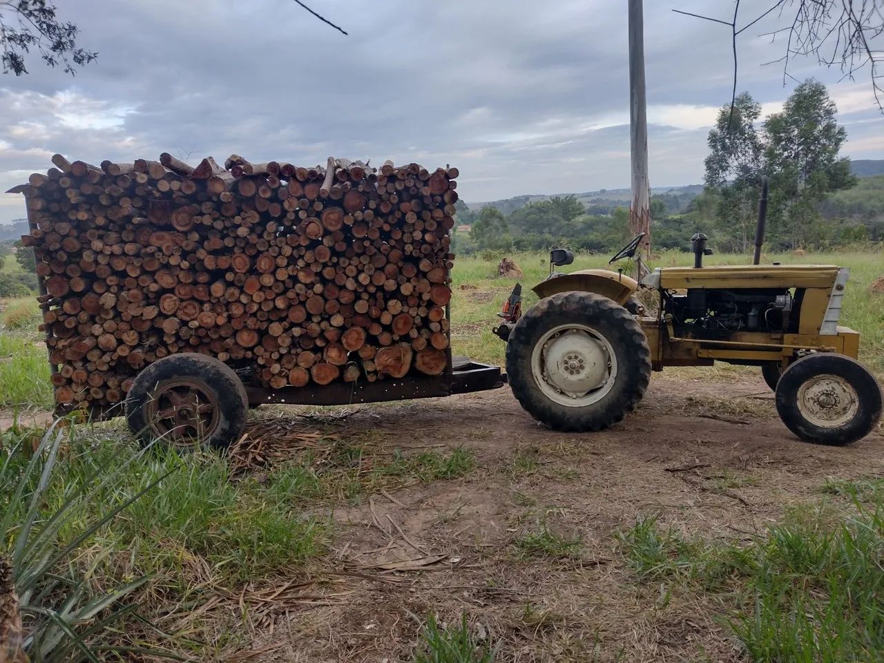 Trator com carreta de lenha  - Foto 2