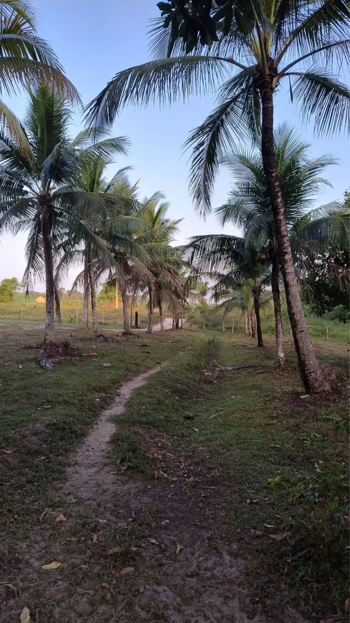 VENDO FAZENDA EM ( BRAGANÇA ) - Foto 4