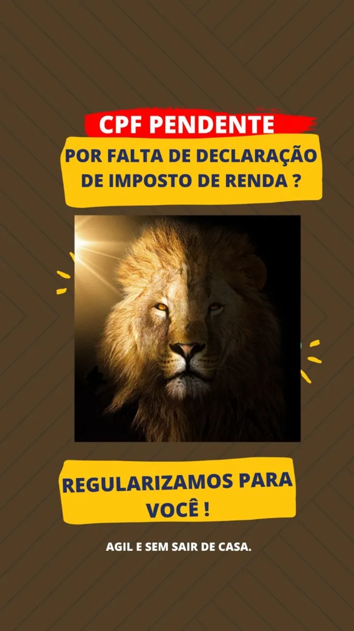 Comprovante de Renda - Contadora - Contador
