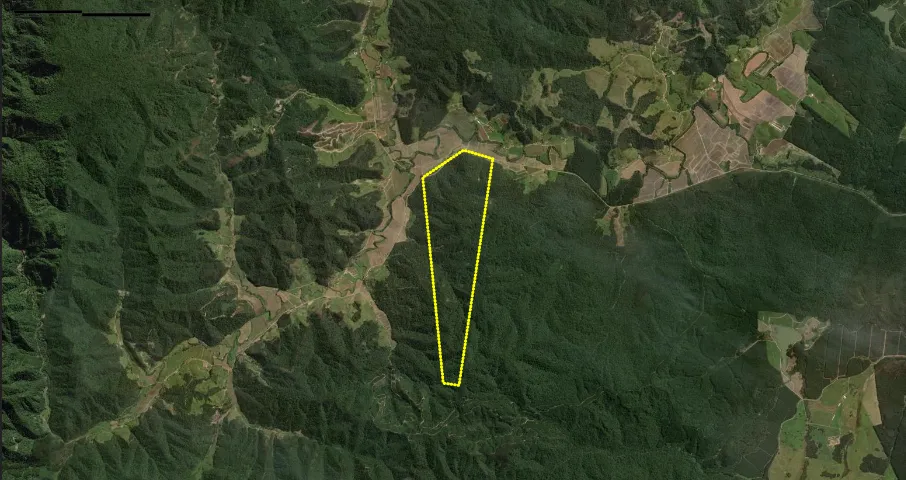 Área para compensação de Mata Atlântica - SC - 200 hectares