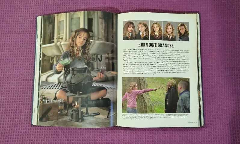 Harry Potter - Page to Screen - Foto 4