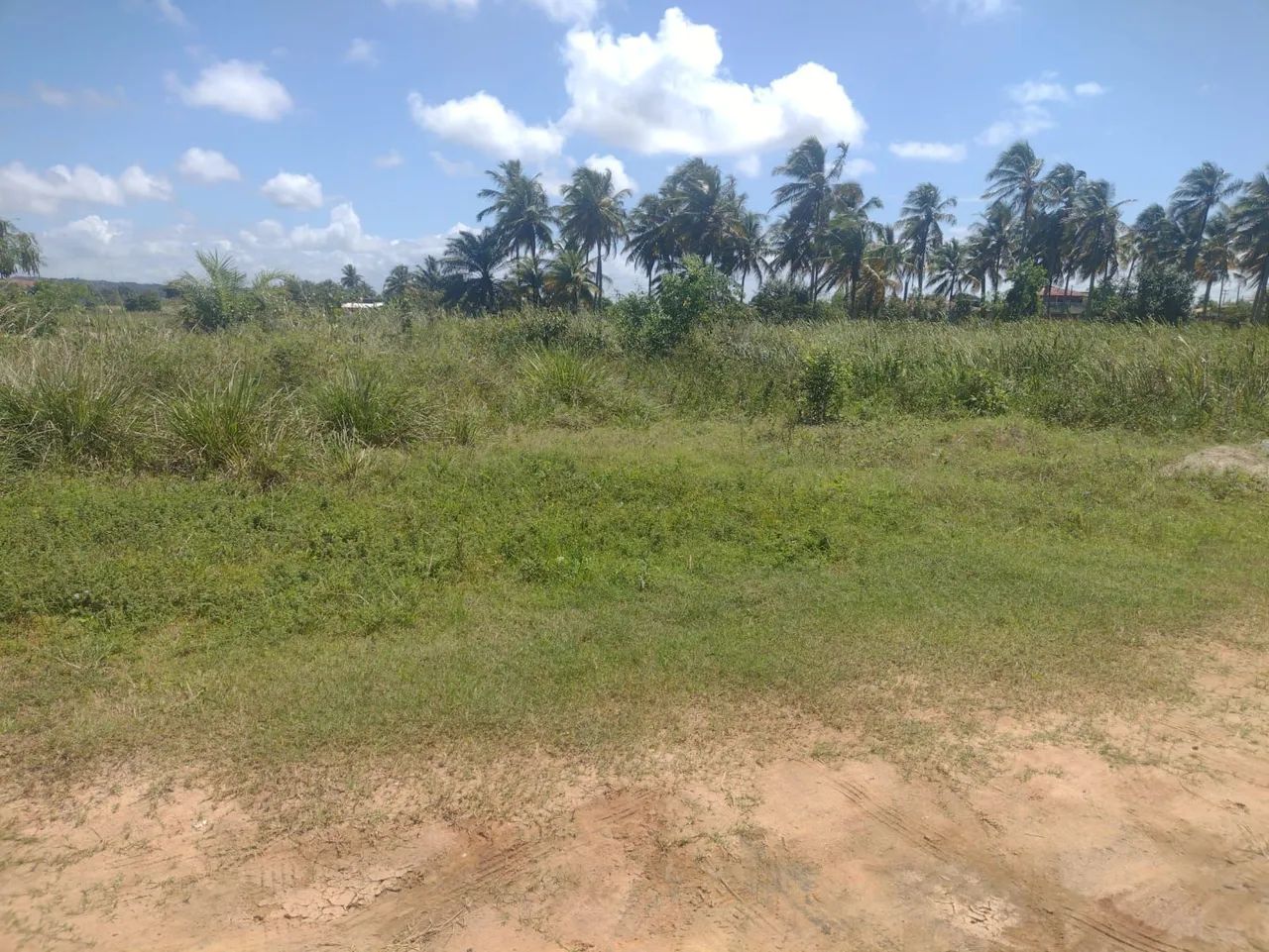 Terreno em marechal Deodoro  - Foto 2