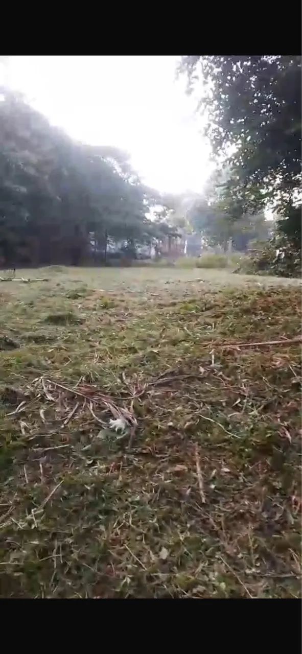 Terreno para sítio com Igarapé em Benevides  - Foto 4
