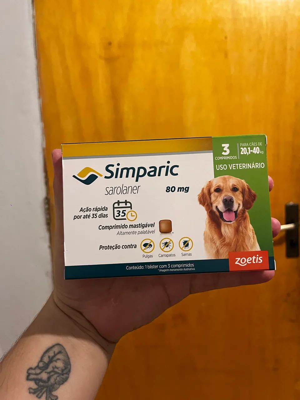 Boneco e Simparic  - Foto 4
