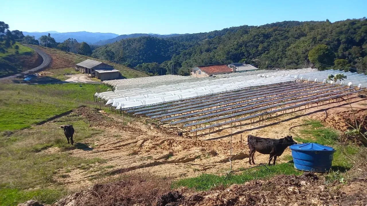 Terreno em Rancho Queimado 16.000 m² - Foto 2