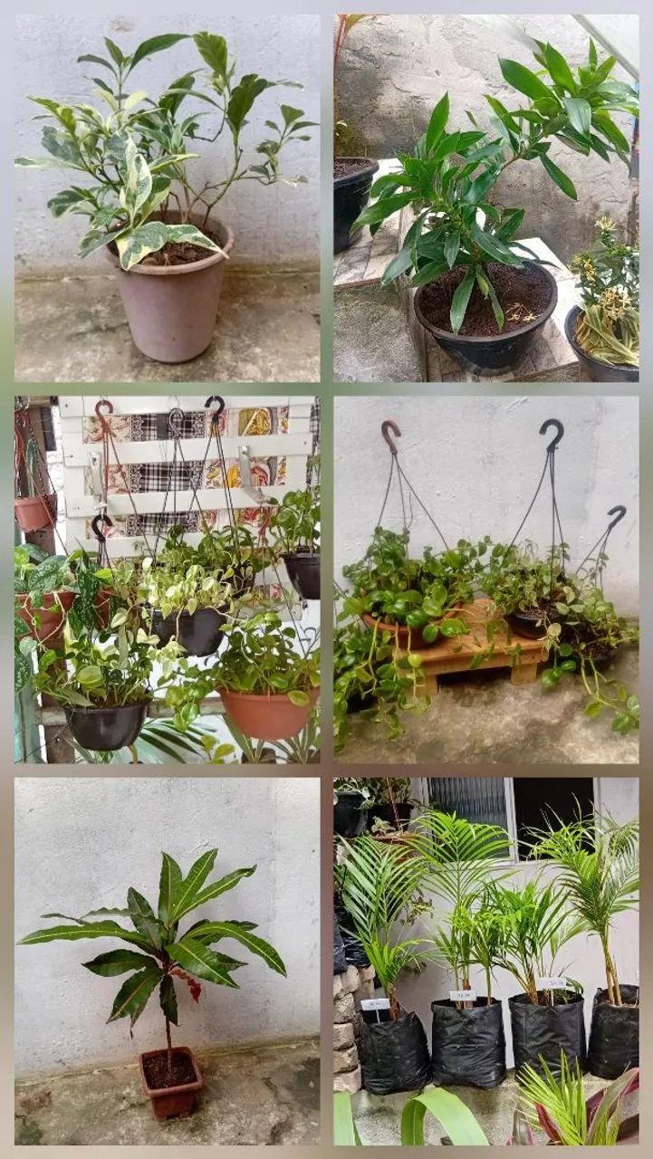 Vendo - Foto 3