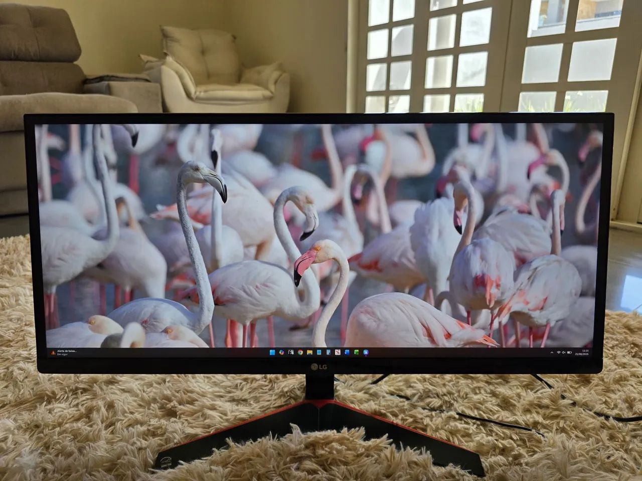 MONITOR LG 29 POLEGADAS ULTRAWIDE FULL HD  - Foto 2