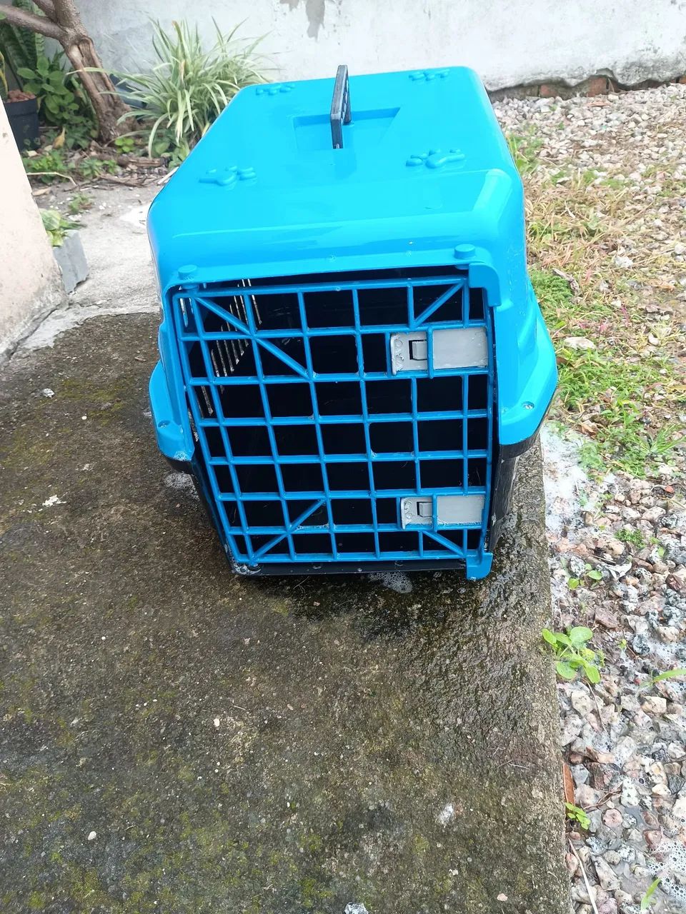 Caixa para transporte de cachorro médio/ grande - Foto 2