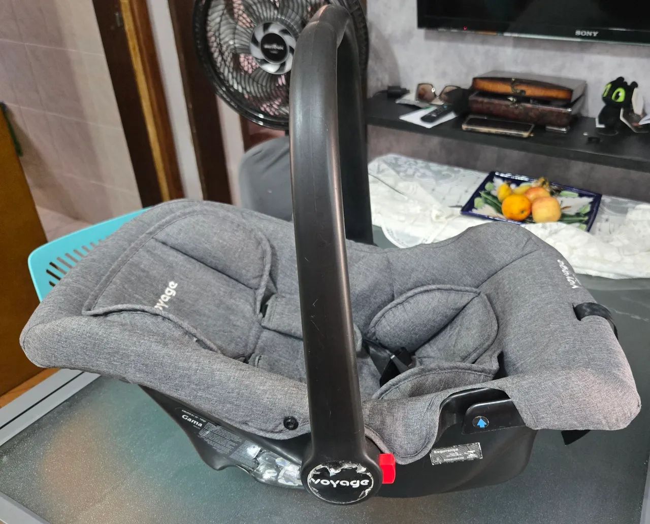 Carrinho e bebê conforto e Moisés 