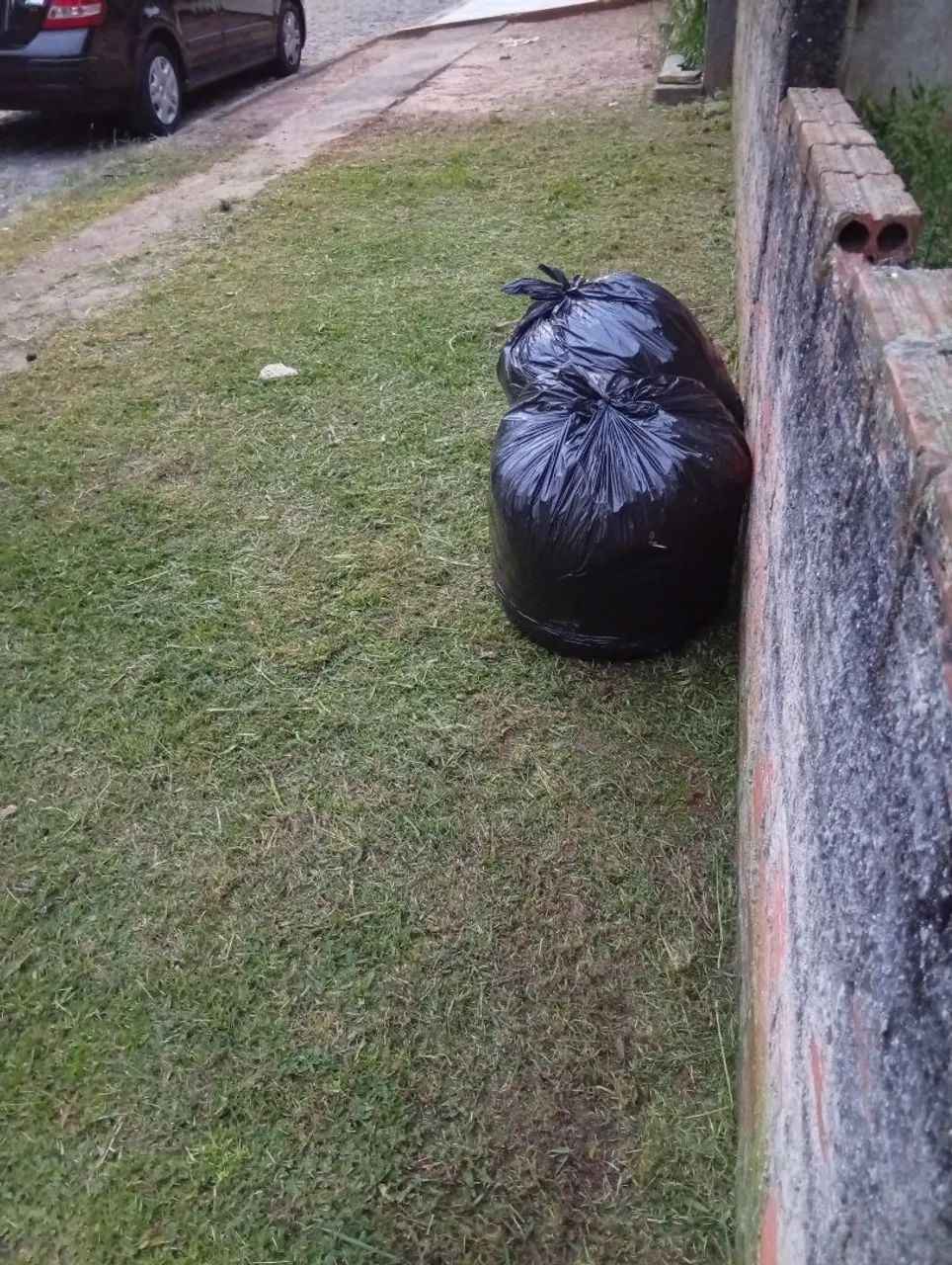 Jardinagem 