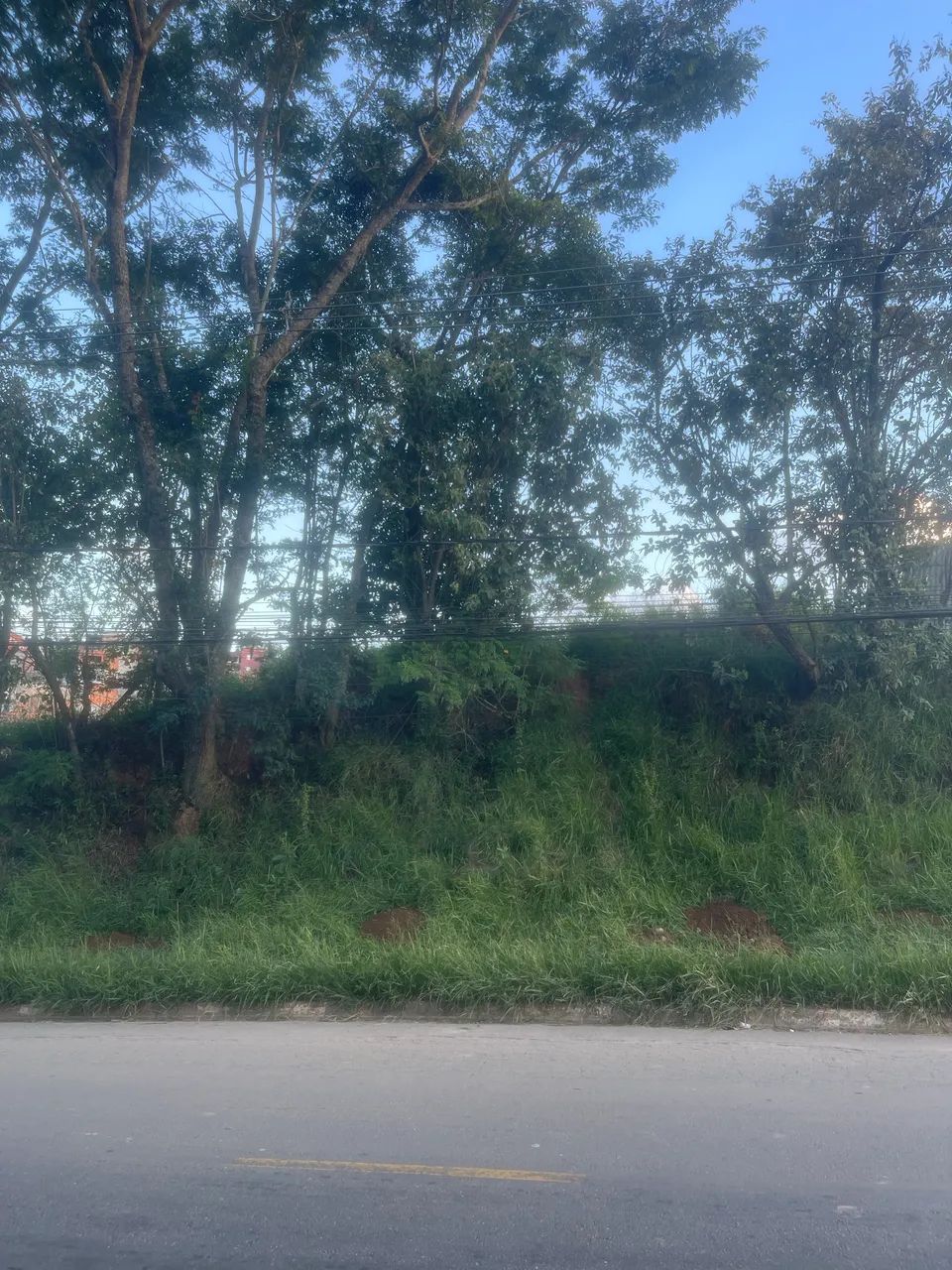 Foto - Cotia - Bairro Dos Neves