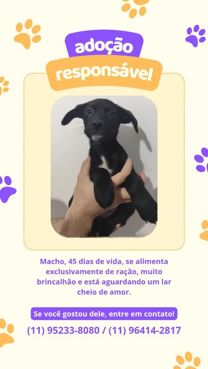 DOAÇÃO - Foto 2
