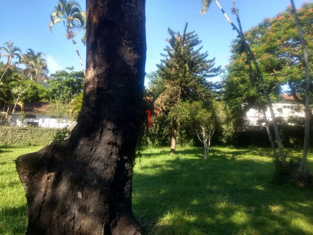 Gerando descricao aguarde - Foto 4
