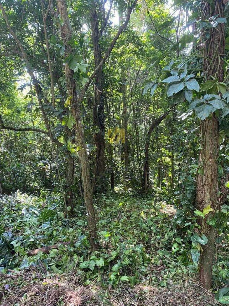 Terreno 810 metros em codominio à venda em Cotia - Foto 3