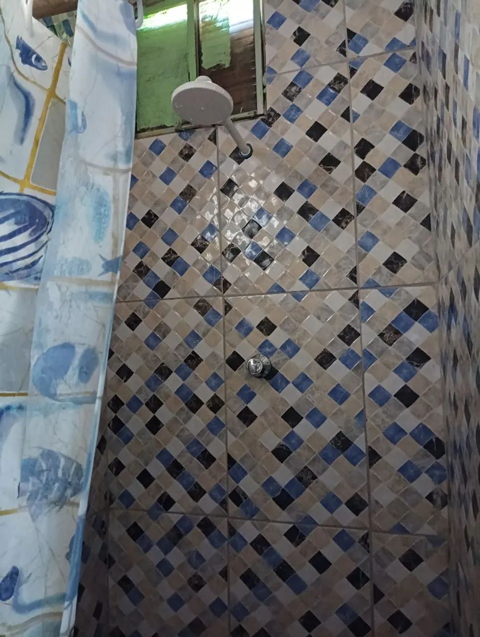 Foto - Madre de Deus - 