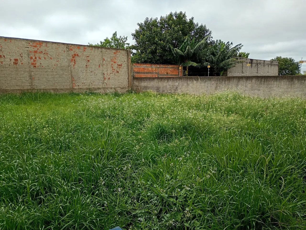 Jardineiro  - Foto 4