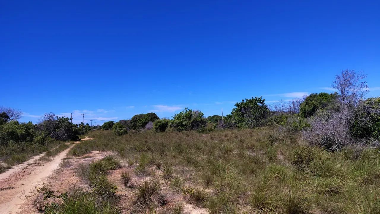 terreno lagoa tambaquis abais - Foto 4