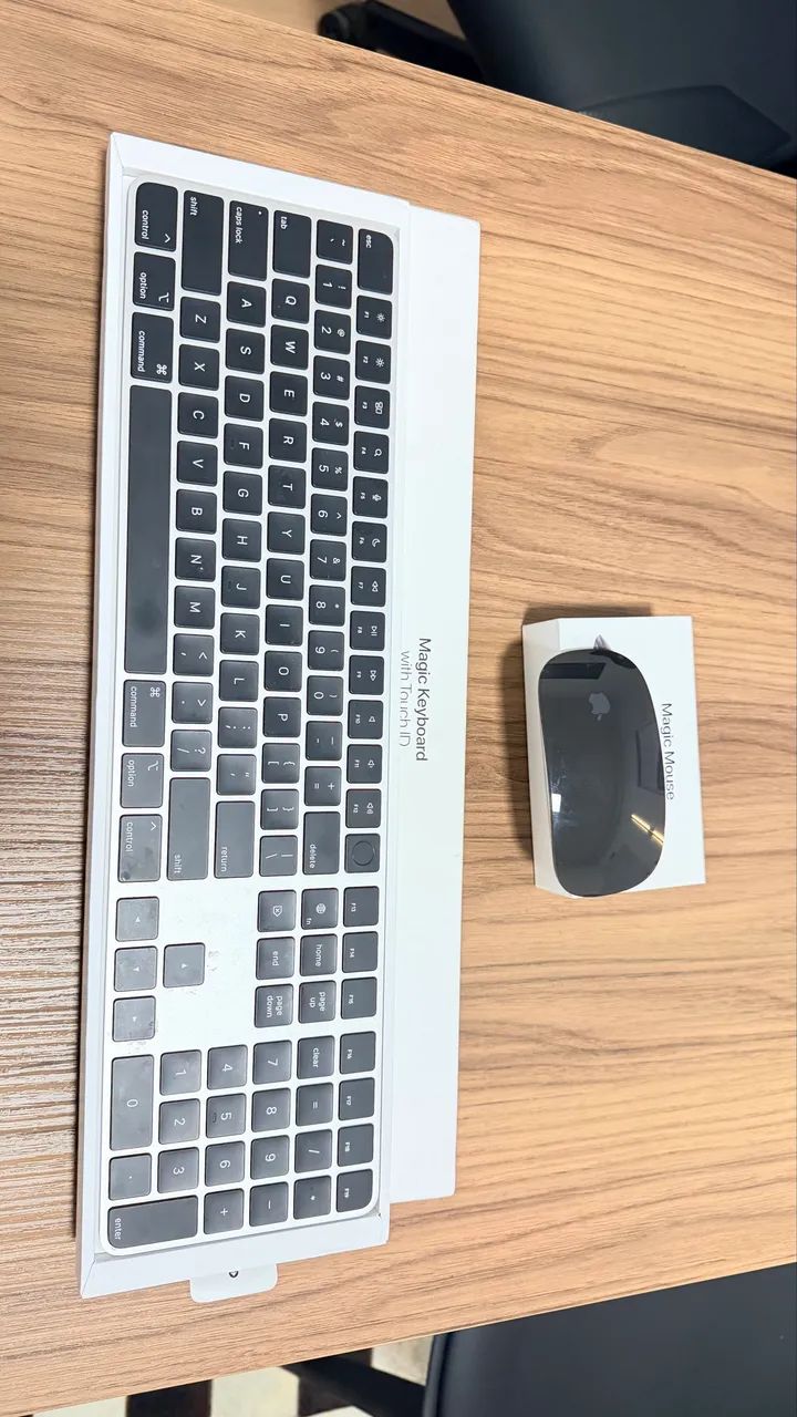 Magic Mouse Apple Touch ID + Magic Mouse 2 - Periféricos e