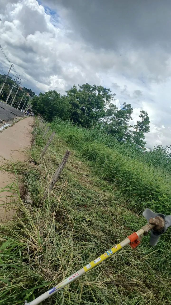 Serviço  de jardinagem - Foto 2