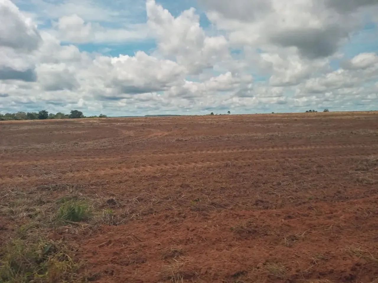 Fazenda a venda em  - Goiatins - Tocantins - Foto 4