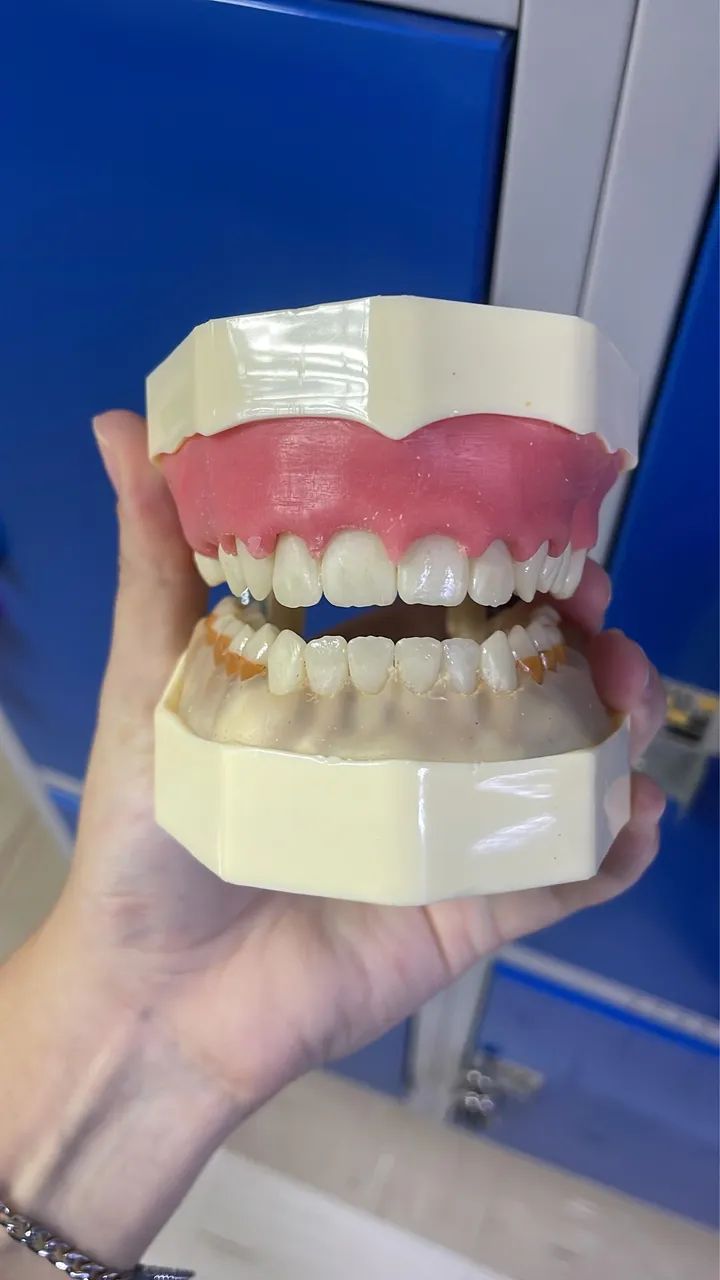 Manequim de periodontia  - Foto 4