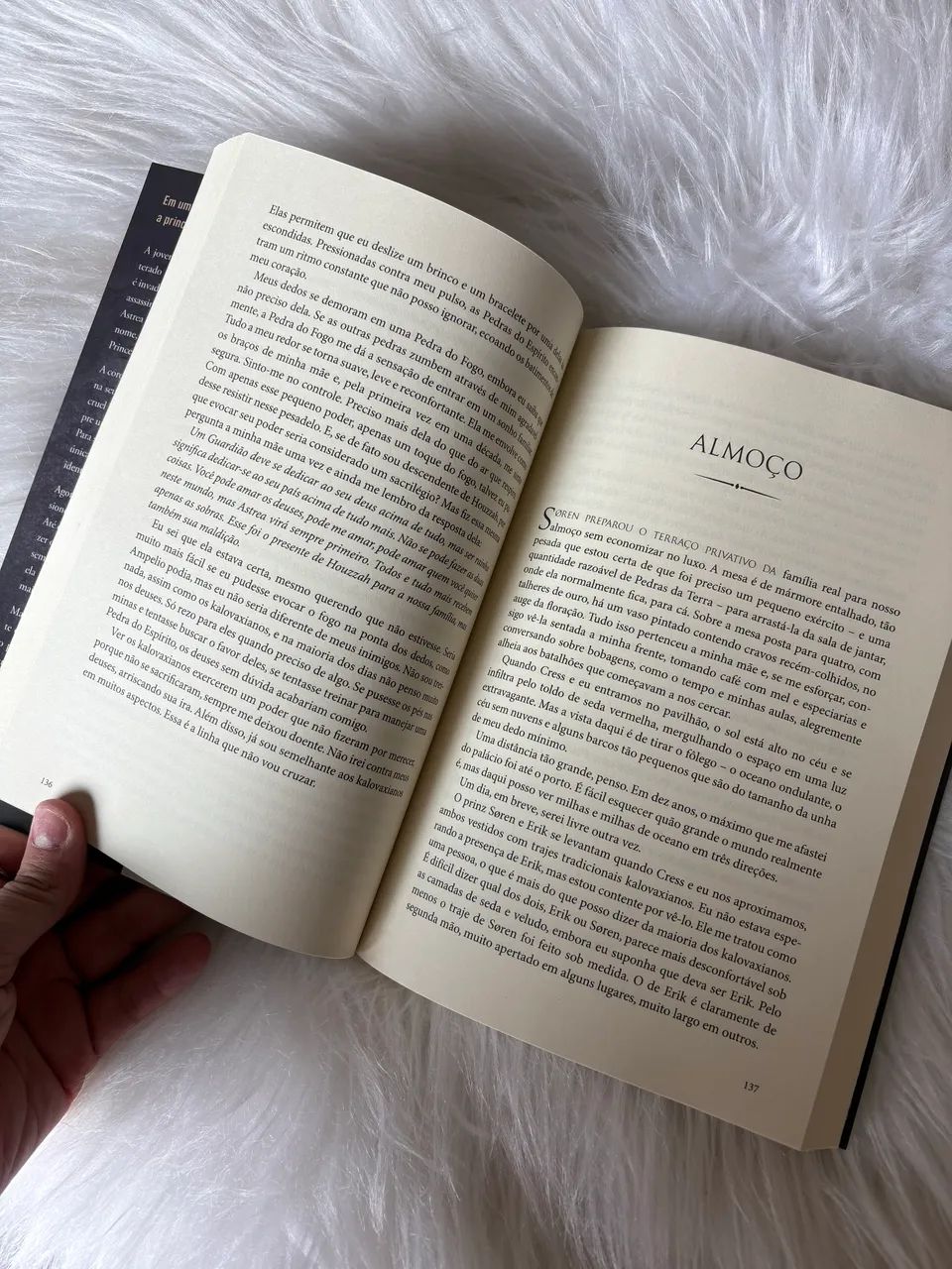 Livro Princesa das cinzas  - Foto 2