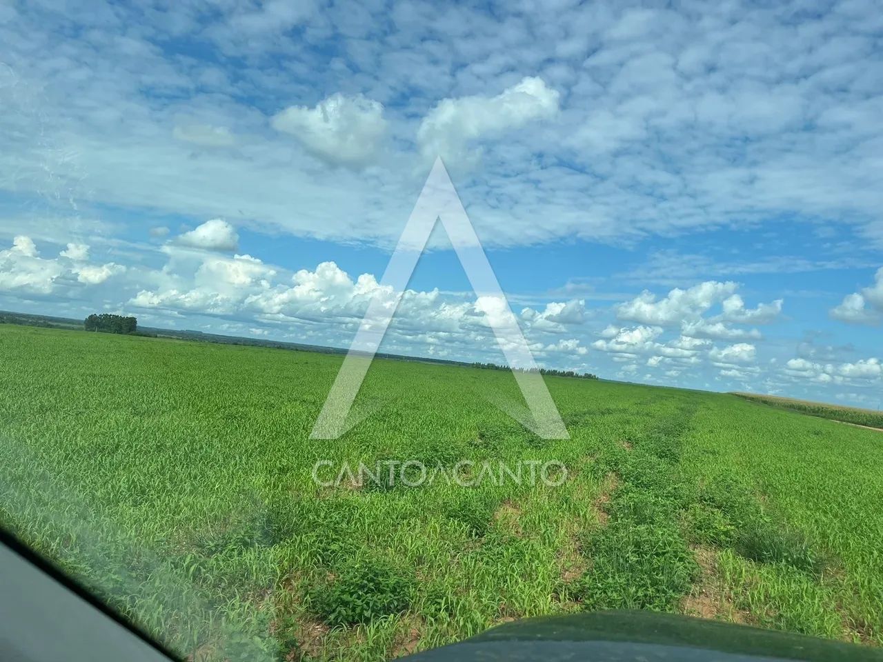 Imóvel Rural - Foto 2