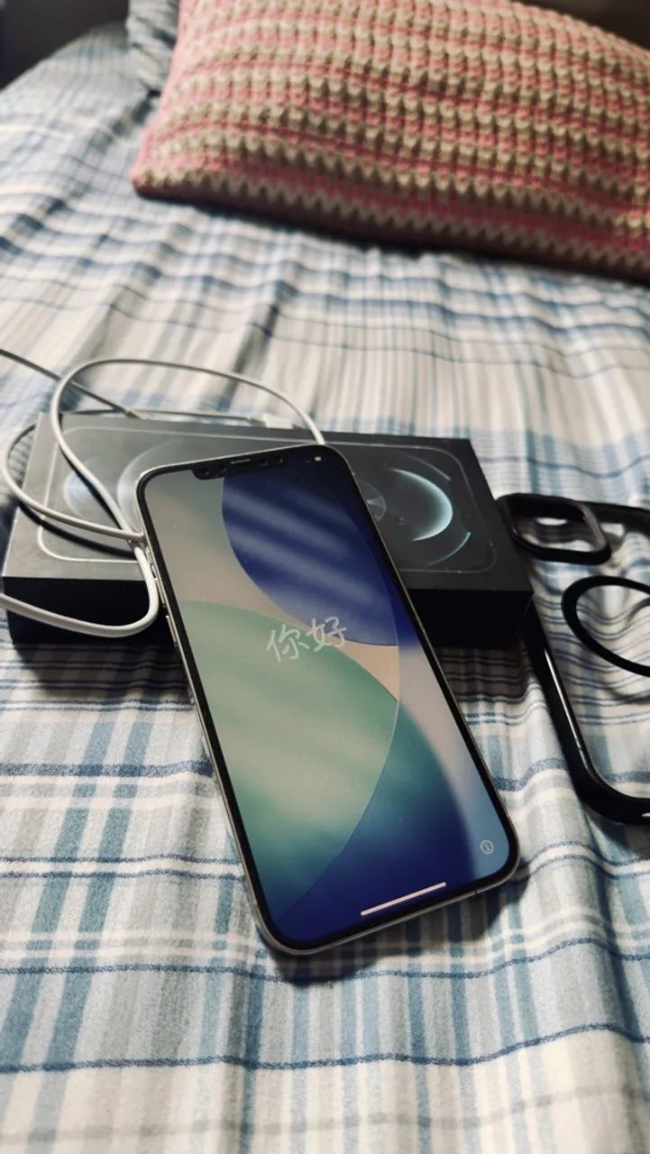 iPhone 12 Pro Max - Silver