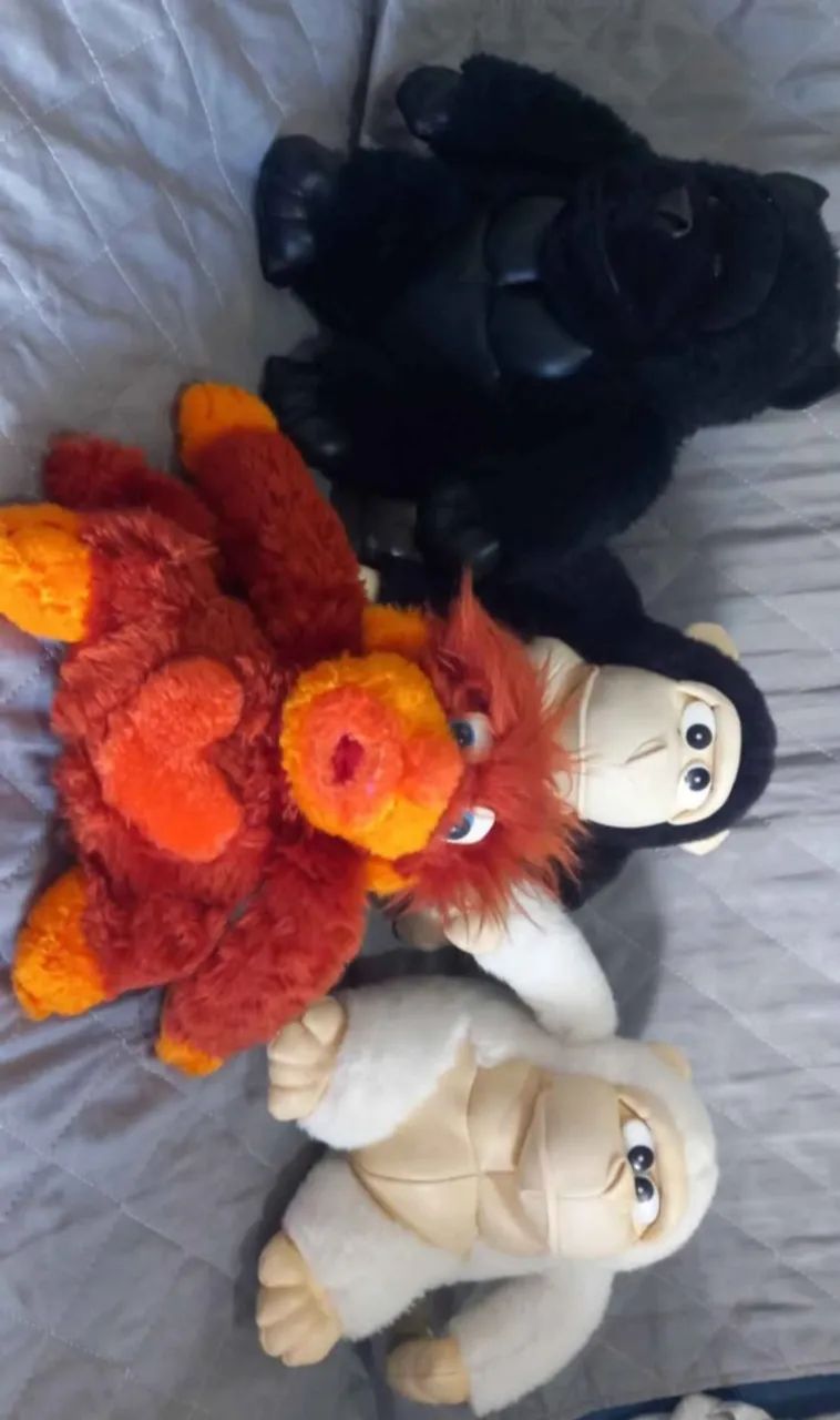 Lote de urso macaco 