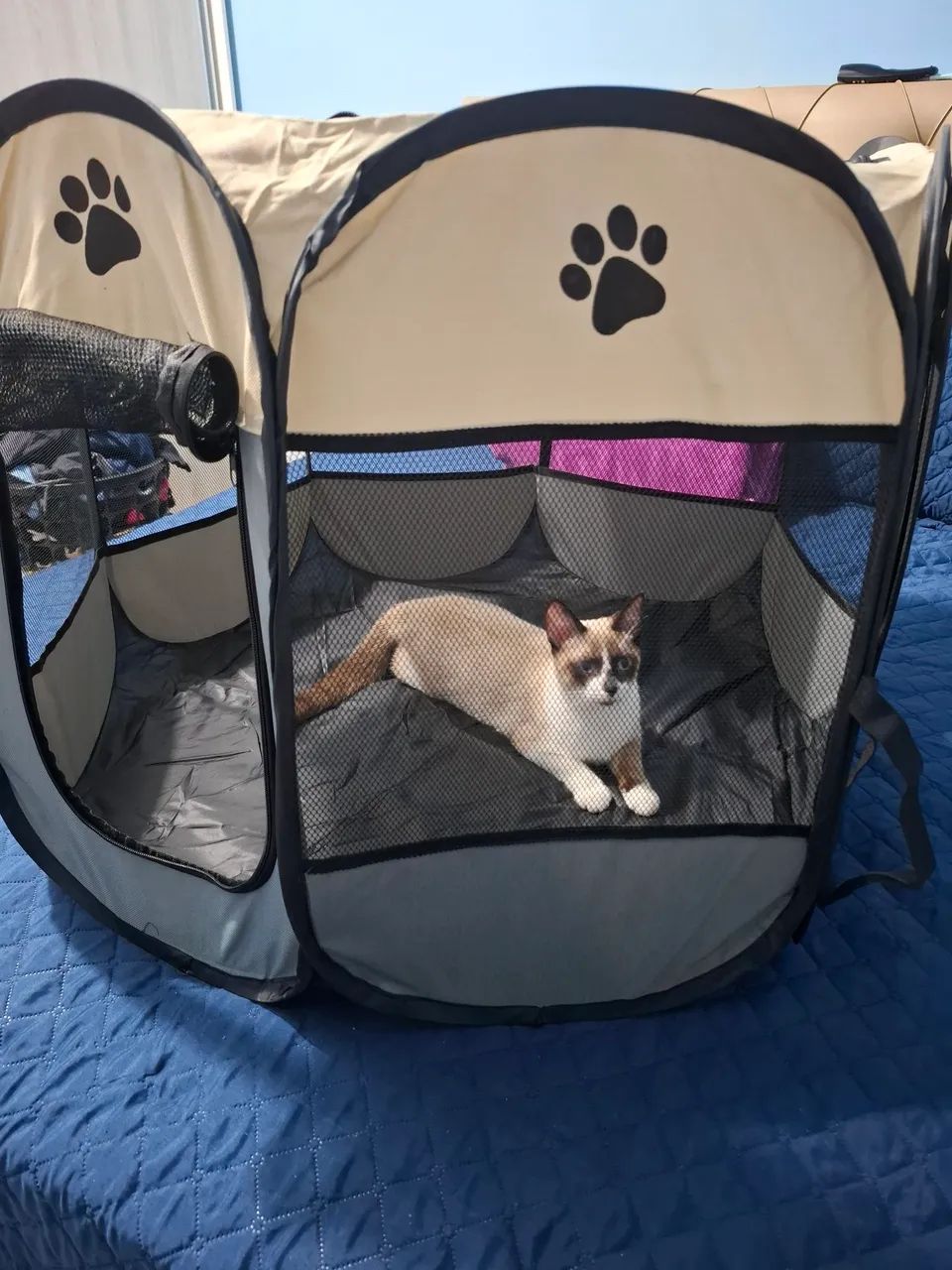 Cercadinho para pets - Foto 2