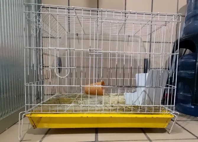 Gaiola para coelho / animais  - Foto 2