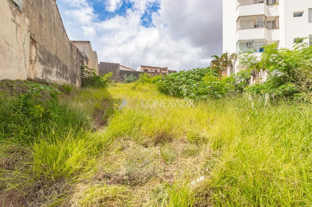 terreno - Vila Industrial - Campinas
