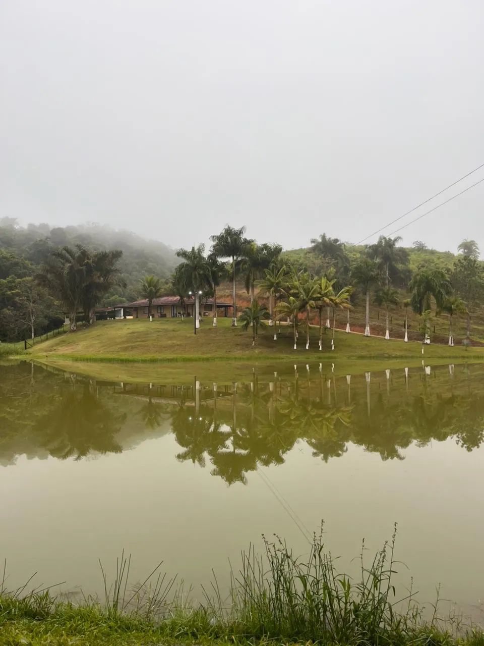FAZENDA COM 110 ALQ 
