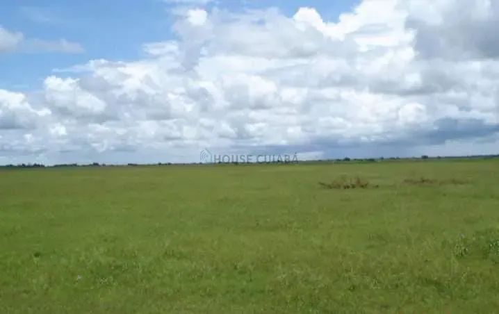 FAZENDA À VENDA  PANTANAL MATO-GROSSENSE