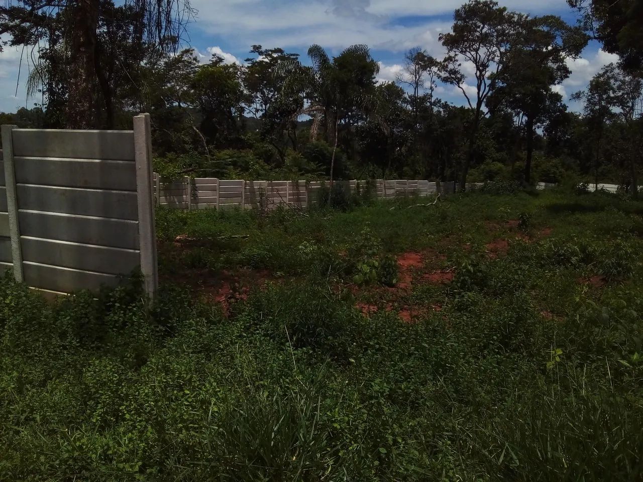 Vendo ou troco Chácara plana região do Ceasa - Foto 4
