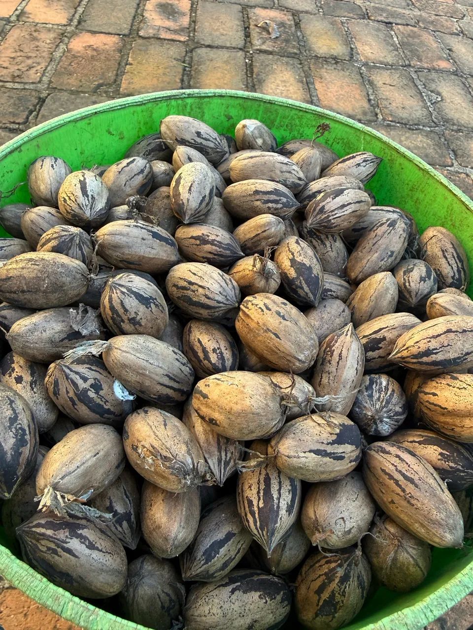 Nozes PECAN - Foto 2