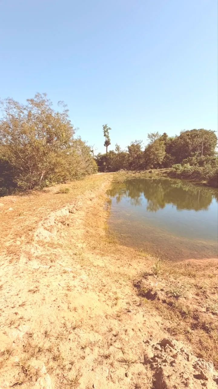 Sítio a venda em Comodoro Mato Grosso - Foto 2