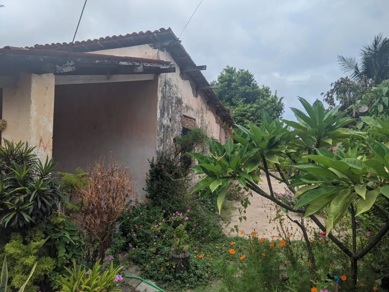 Terreno para Venda em Caucaia, Jandaiguaba - Foto 2