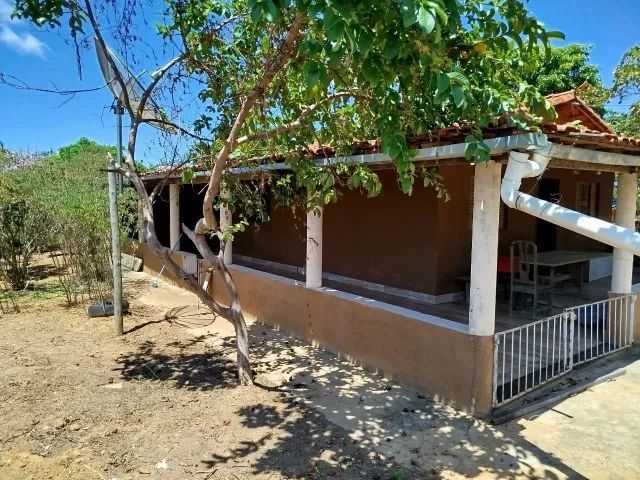 SÍTIO À VENDA - 5.000 m² - Foto 5