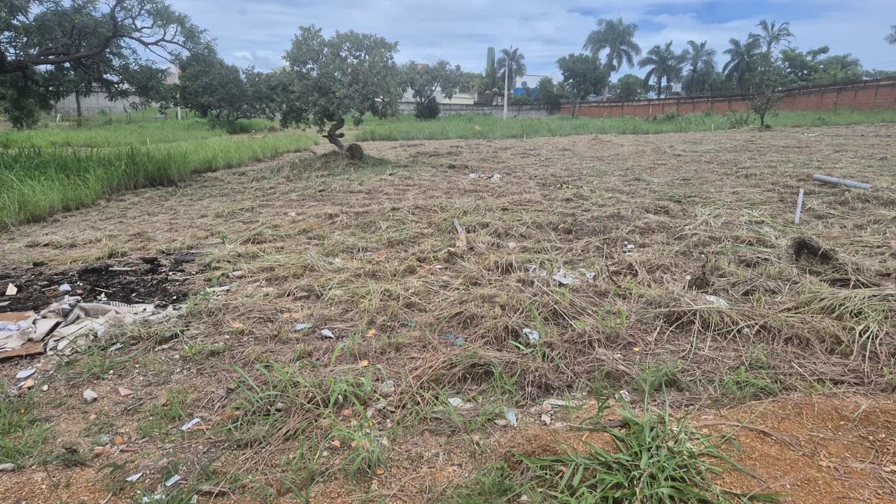 Foto - Brasília - Setor Habitacional Jardim Botânico