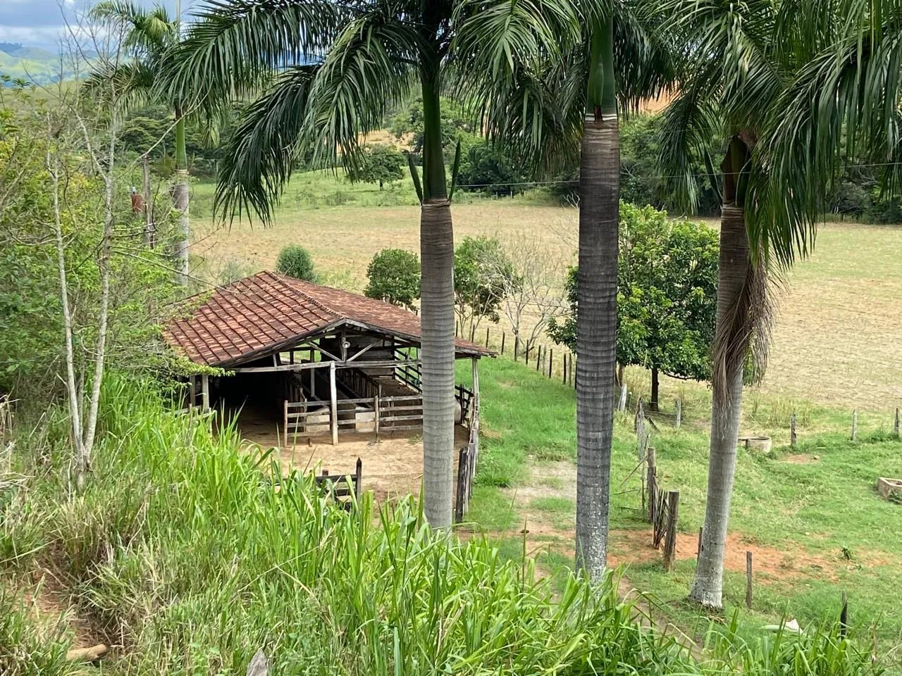 Foto - Juiz de Fora - Santa Terezinha