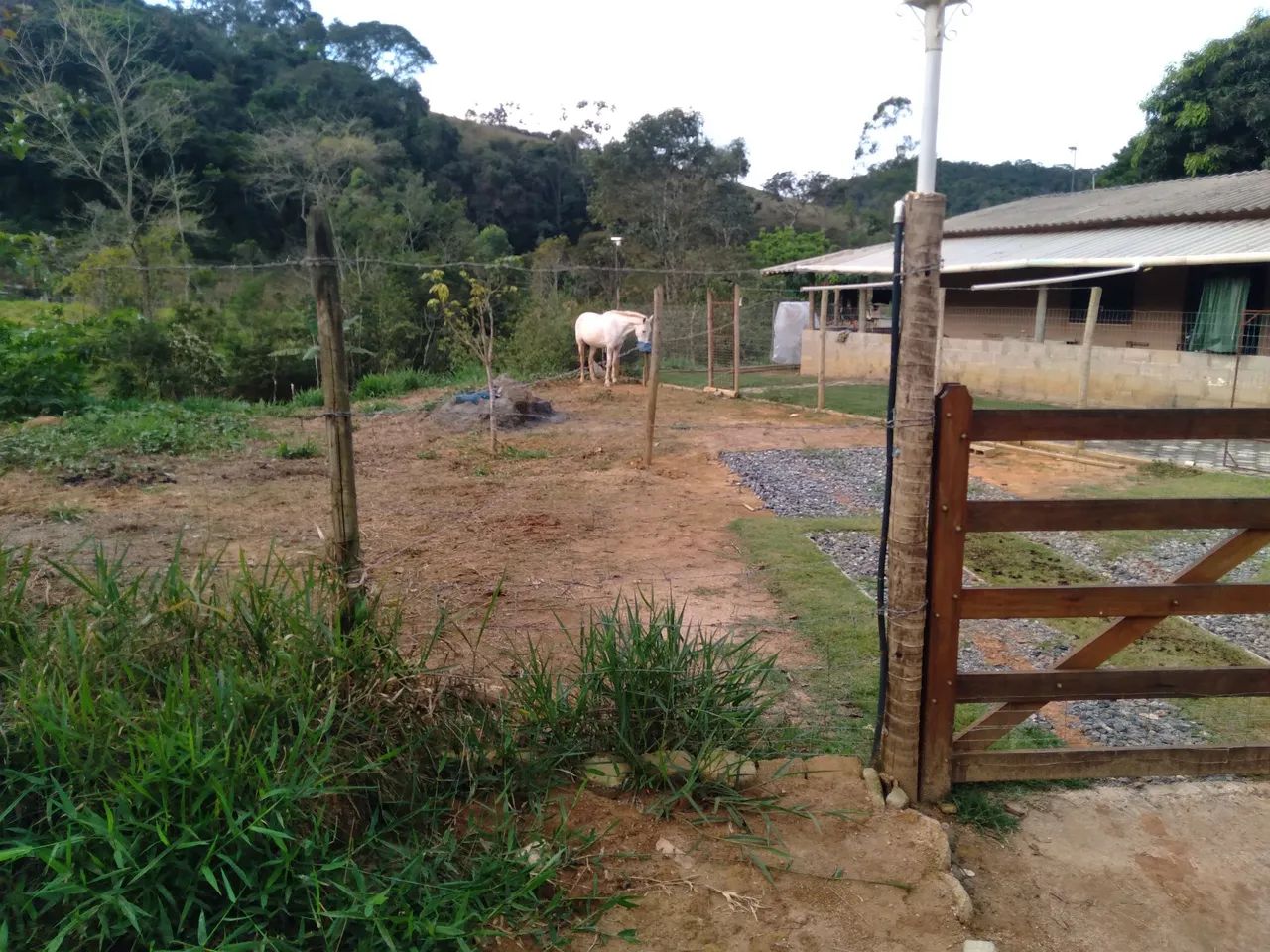 Chácara a venda em Olaria, MG  - Foto 2