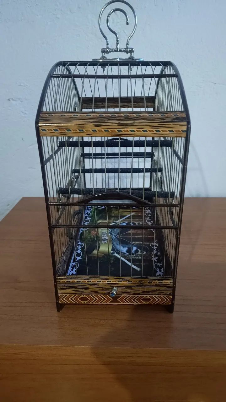 Gaiola De Passeio  - Foto 4