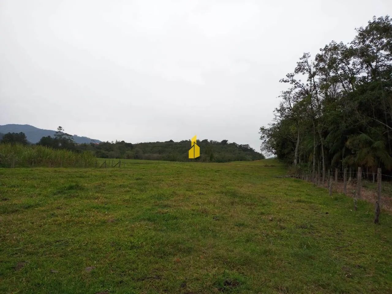 Terreno em Rio dos Cedros - Foto 3